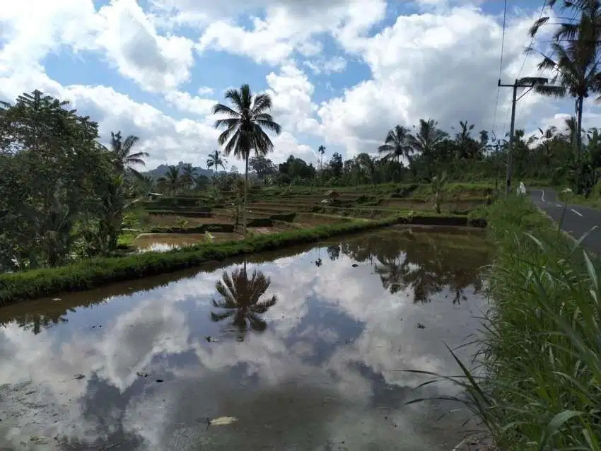 Tanah super murah Los sungai Ayung ubud payangan gianyar bali