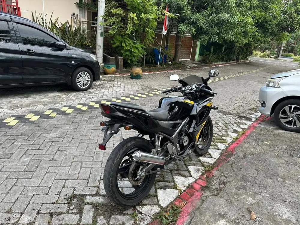Ninja Rr New 2013
