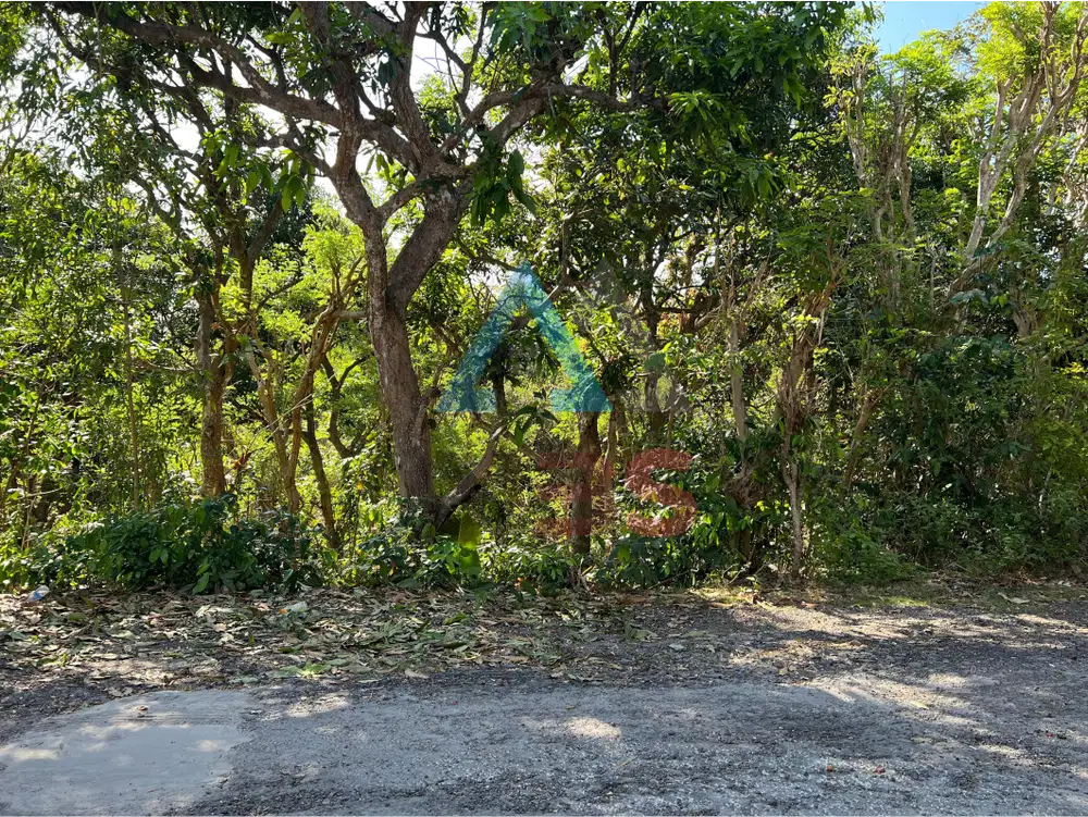DIJUAL TANAH LOKASI UNGASAN, COCOK UNTUK VILLA DAN RESTORAN
