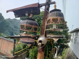 burung perkutut golden impor + kandang rotan