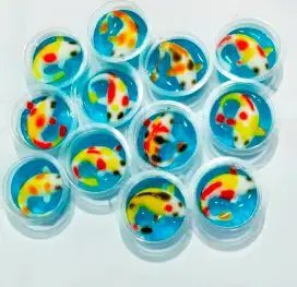 Puding Ikan Koi