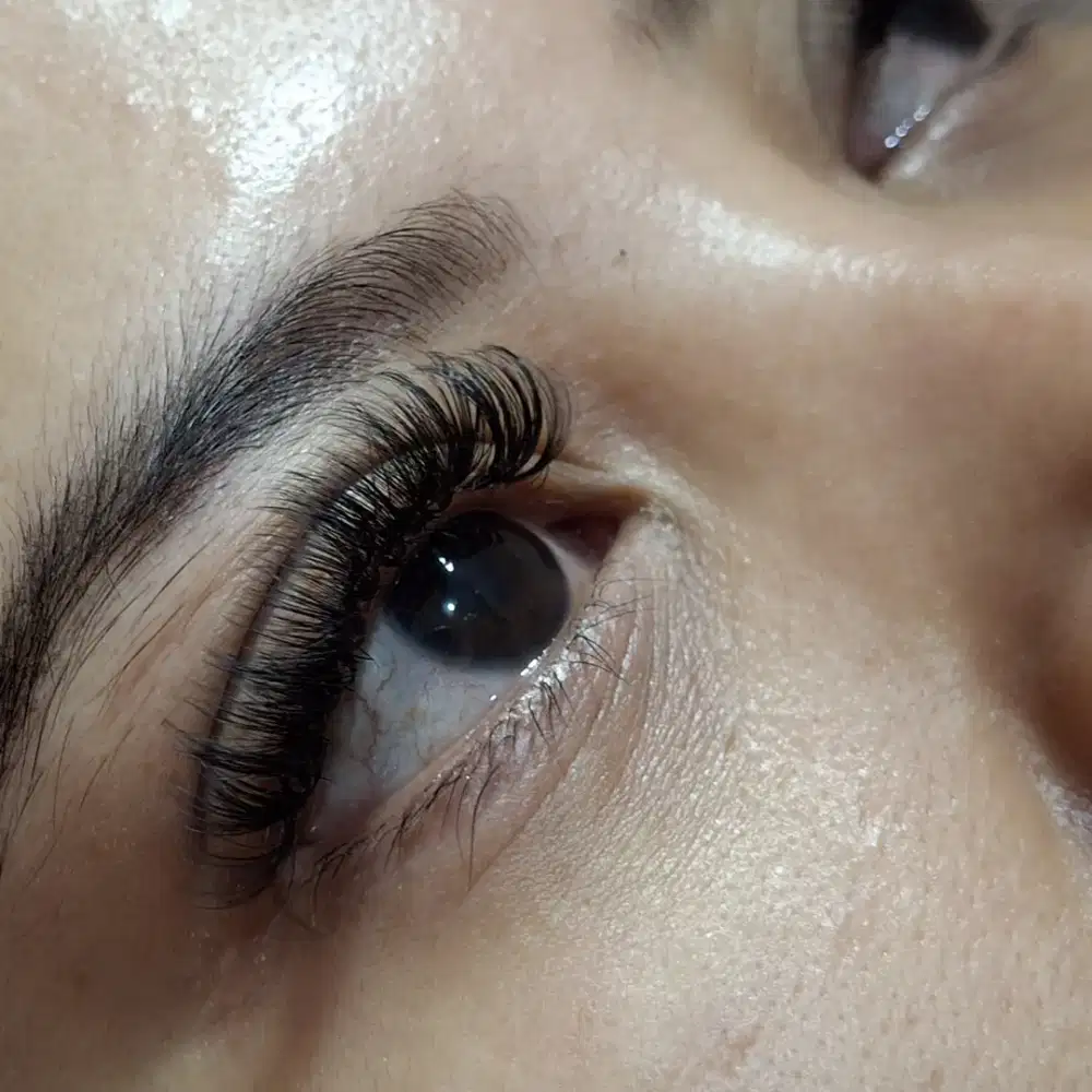 Menerima jasa home service Eyelash