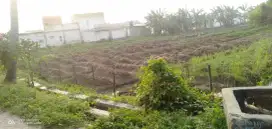 Jual tanah luas dan murah