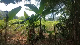 Tanah Kavling di Cijujung Sukaraja 1,5 Juta Per m2
