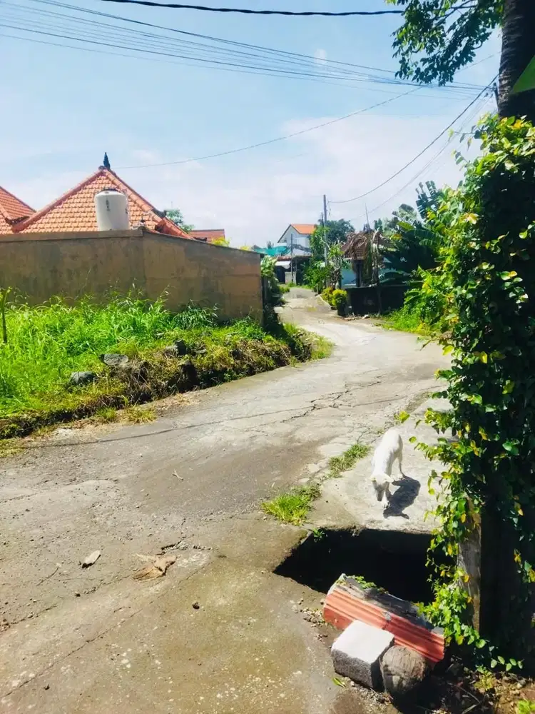 Tanah Los SUngai Cemagi Mengwi Badung