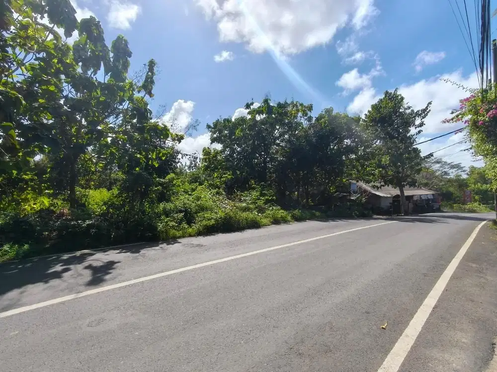 Tanah Preium Ocean View Belimbing Sari Ungasan Badung
