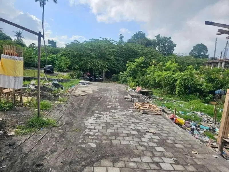 Tanah Berawa Canggu Badung Bali
