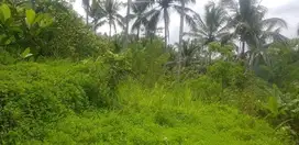 Tanah Los Sungai Ayung Ubud Gianyar