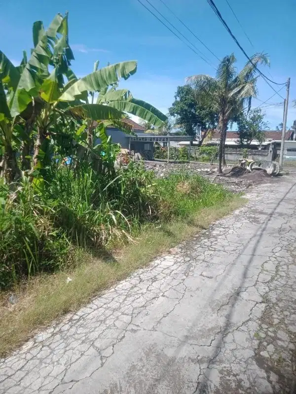 Tanah Munggu Badung Bali