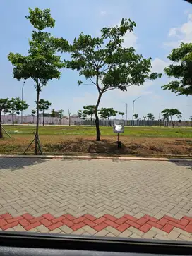 JUAL KAVLING KOMERSIAL THAMRIN CENTER PIK 2 450m SUPER STRATEGIS BAGUS