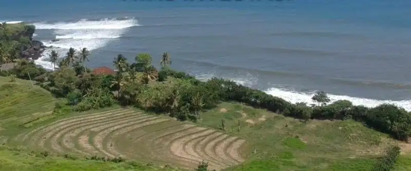 Tanah Pantai Soka Selemadeg Tabanan Bali