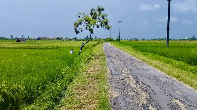 Tanah pantai kelating tabanan