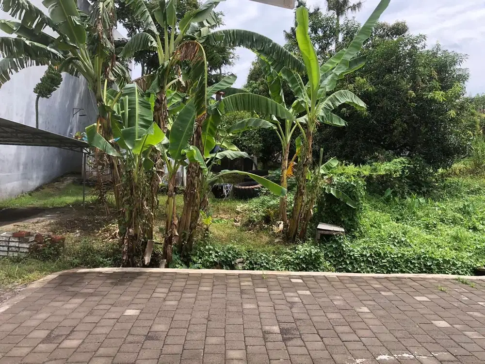 Dijual lahan di Canggu Berawa Tandeg