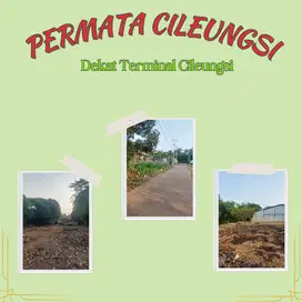 Tanah Cileungsi Bogor; Dekat Terminal Cileungsi, Murah dan Strategis;