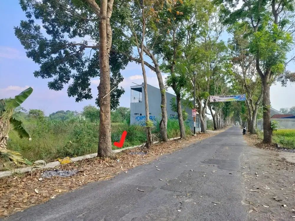 Dijual Tanah View Sawah Strategis Area Jln Kebon Agung Mlati Sleman