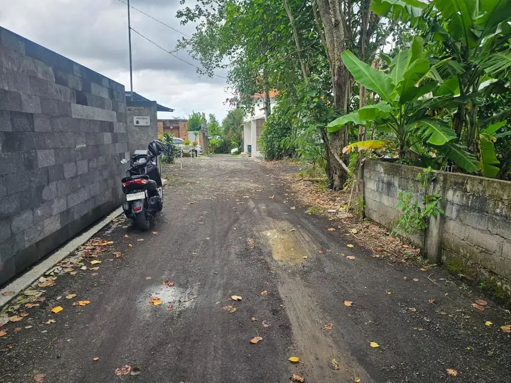 Tanah Premium Kayu Tulang Canggu badung