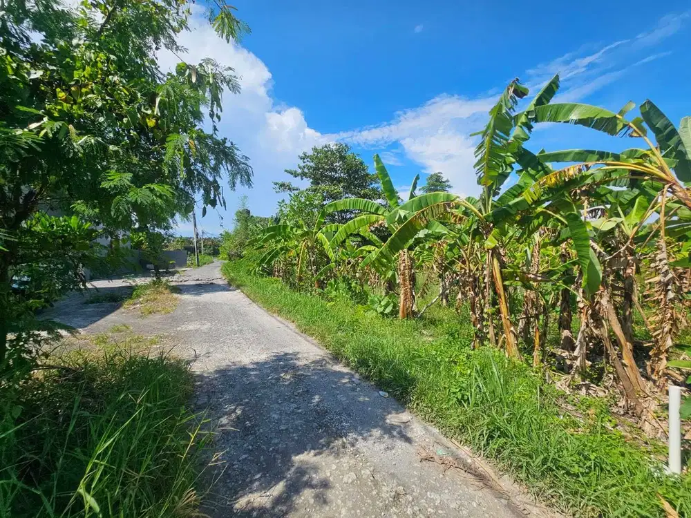 Tanah Komersil Berawa Canggu Badung
