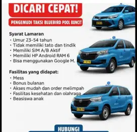 Driver taxi blubebird pusat
