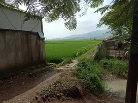 Dijual Tanah Sawah di Area Munjul Baleendah