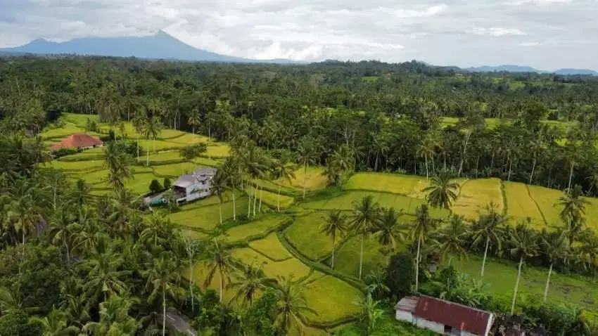 For Sale Cantik Di Tegallalang View PerSawahan