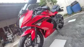 Kawasaki Ninja 250 RR Mono