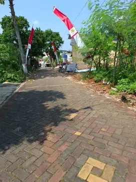 Tanah Tembalang Bulusan Undip
