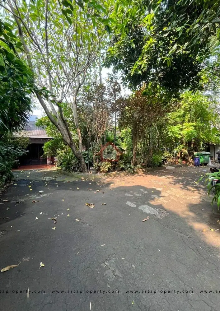 Rumah Lama Area Komersial Di Patal Senayan