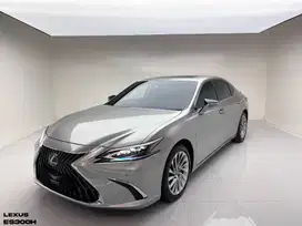 Lexus ES300h Hybrid Ultra Luxury ATPM