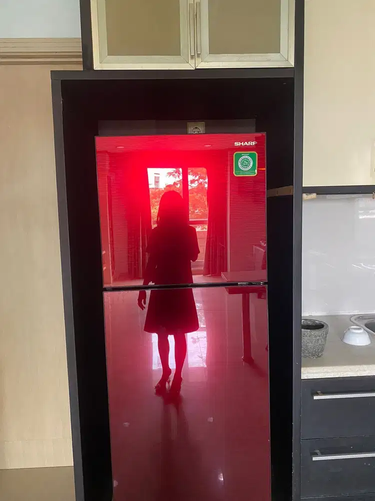 DISEWAKAN APARTEMEN PALADIAN PARK FULL FURNISHED