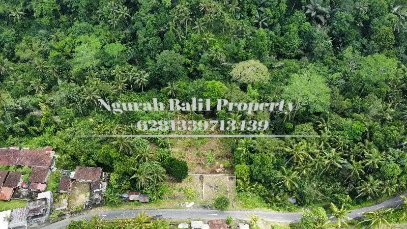 Land For Sale Luas 3100 m2 View Hutan Jungle Cocok Peruntukan Villa