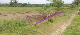 DIJUAL TANAH SAWAH MURAH MERIAH COCOK UNTUK INVESTASI/TANI, JK11534