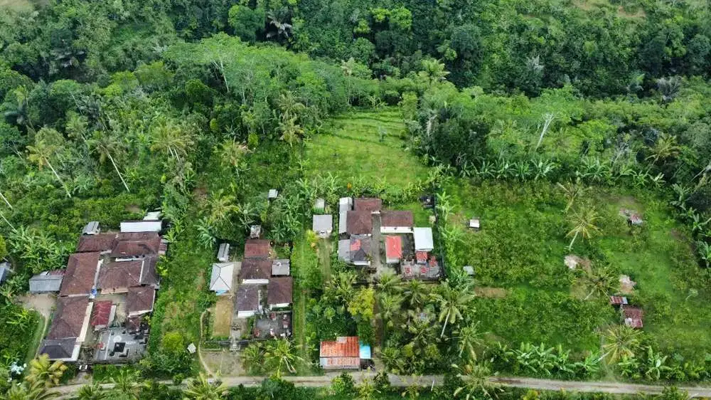 Land For Sale MURAH View Sungai, Hutan Jungle di Tampak Siring