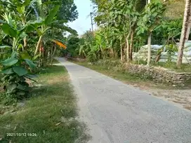 TERMURAH TANAH DEKAT BENDUNGAN KAMIJORO NYAMAN UNTUK HUNIAN.JK11199