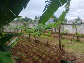 Tanah Murah Serpong, Lokasi Cocok Bangun Rumah