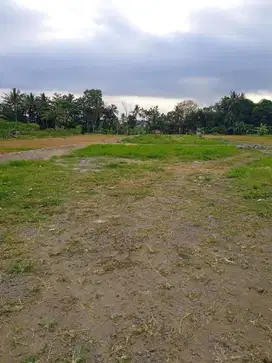 Tanah Murah Jogja Dekat Star Beach Swimming Pool, Siap Akad