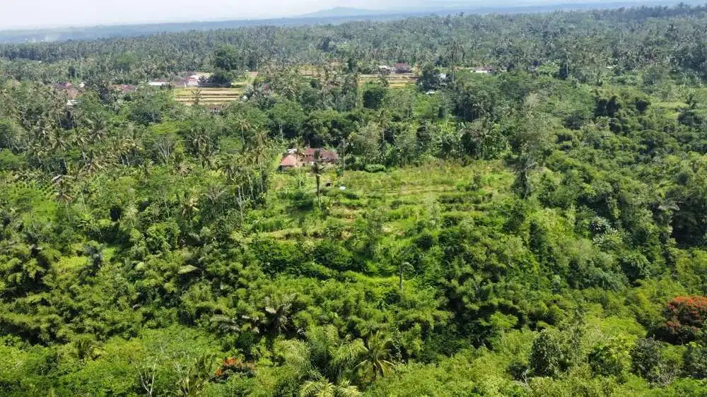 Dijual Tanah MURAH View Jungle & Sungai, Air Terjun di Tegallalang