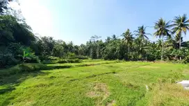Kawasan Wisata Nanggulan, Cocok Investasi