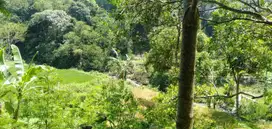 Dijual Cepat Tanah Wisata Bumi Titi Murah Siap Bangun