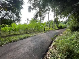 Tanah Cisauk Strategis Untuk Kontrakan, 5 Menit Stasiun Jatake