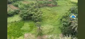 Jual Tanah di Jalan Raya Pemda Tigaraksa - Tangerang, Banten