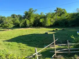 DIJUAL KEBUN POROS BANTIMURUNG