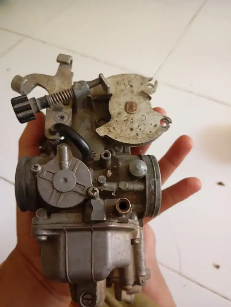 Jual karbu Tiger