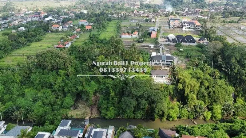 Disewakan Tanah Murah Luas 22,30 m2 View Sawah dan Sungai di Ubud