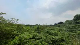 Dijual Cepat! Tanah Industri di Karawang –Dekat Tol Japek 2 & Cikampek