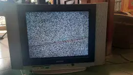 Tv slim fit samsung