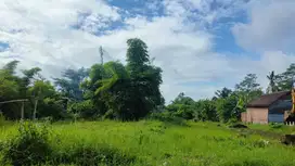 Tanah Dijual di Jl. Losari, Sidorahayu, Luas 66 m², Legalitas SHM