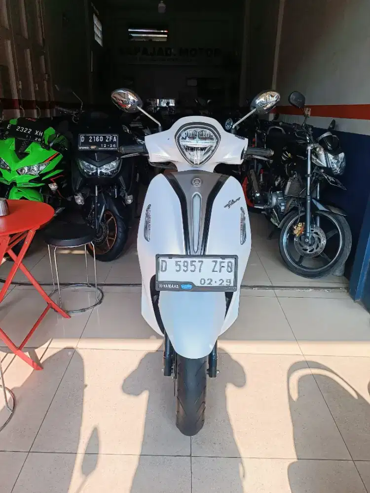 YAMAHA FILANO LUX 2024