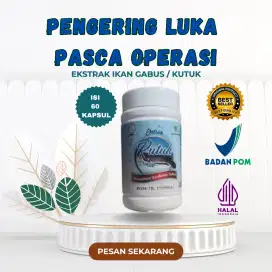 Kapsul Kutuk Albumin Original