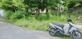 OBRAL MURAH TANAH DI MARGOKATON SAYEGAN AKSES ASPAL MOBIL PAPASAN. JK10388