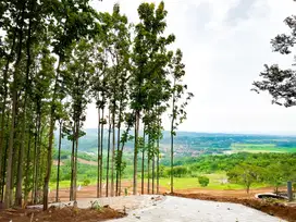 MILIKI KEBUN PRODUKTIF DI BOGOR TIMUR! Harga MULAI 39 JUTAAN